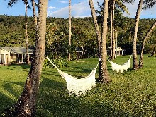 Thumbs/tn_TSAI,YI-JU.Australia.Orpheus Island Lodge (39).jpg